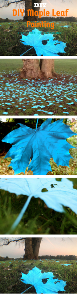 DIY autumn leaf maple leaf arts and crafts paining