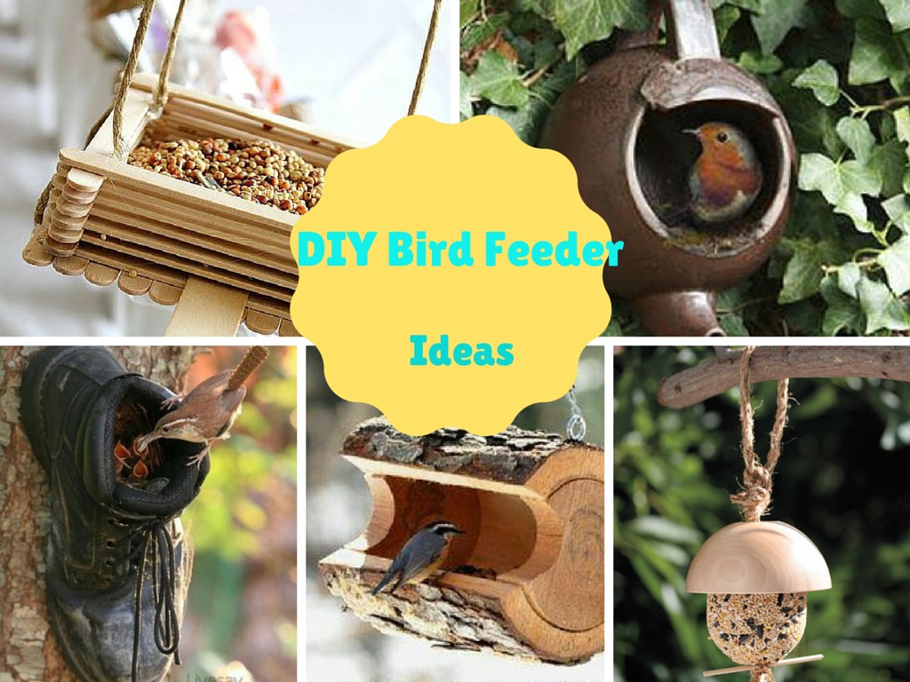 11 Cool DIY Bird Feeder Ideas To Feed Your Birds