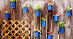 Low-Budget DIY Garden Pots and Containers1