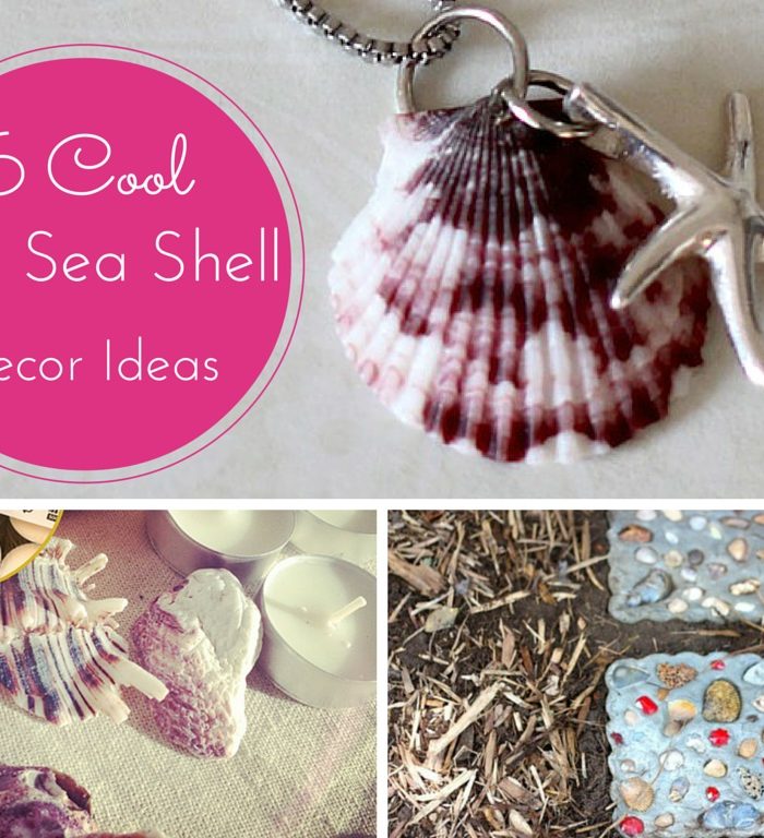 6 Cute Seashell Crafts Ideas. Its o Much Fun