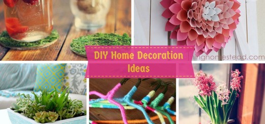 6 DIY Home Decoration Ideas in Your Budget: Its Easy