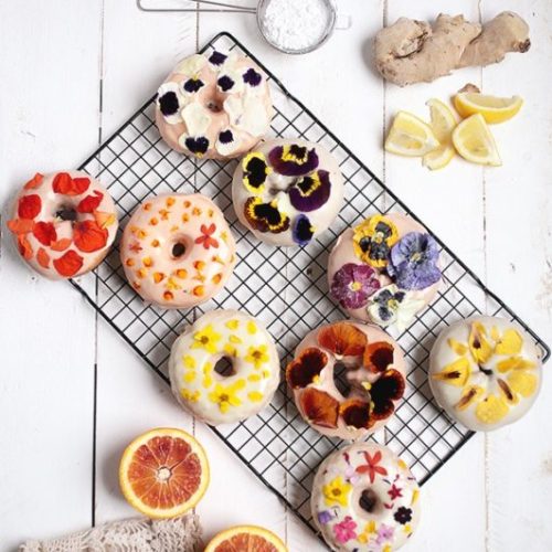 homemade_donut_recipes