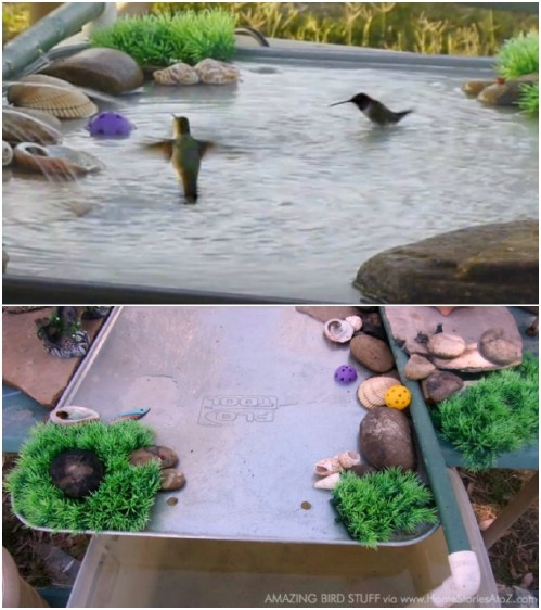 DIY Bird Baths ideas 