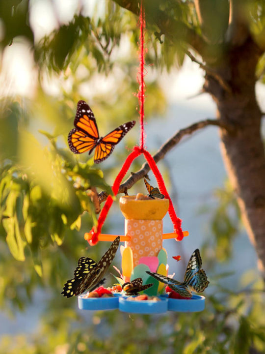 13 DIY Butterfly Feeders To Attract More Butterflies ...