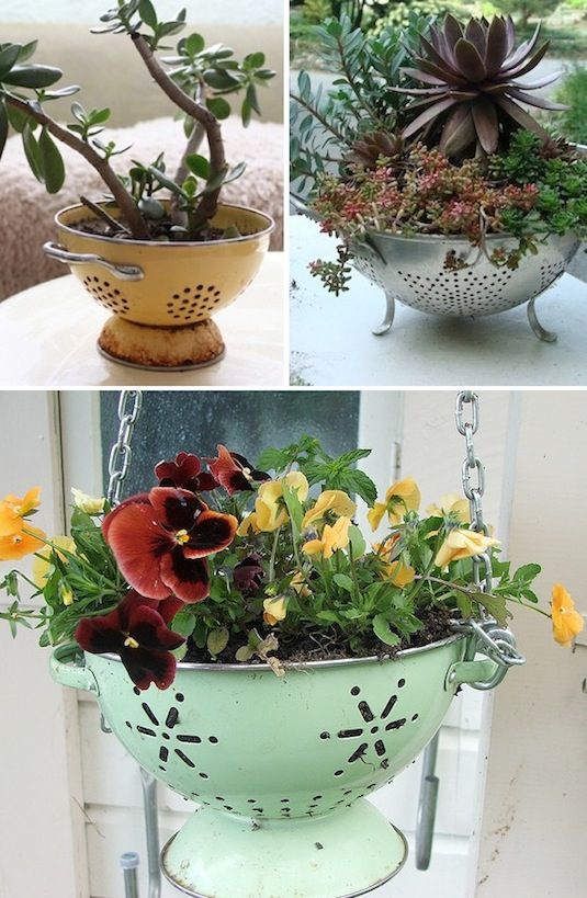 Creative Garden Container ideas