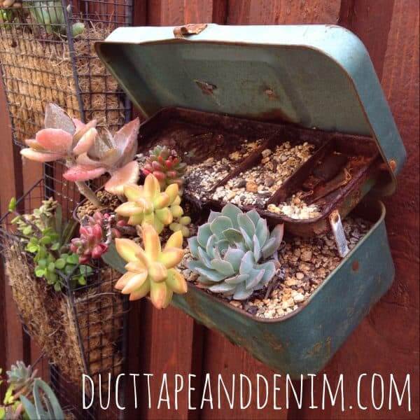 Garden planter container ideas