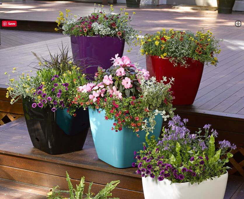 Garden planter container ideas