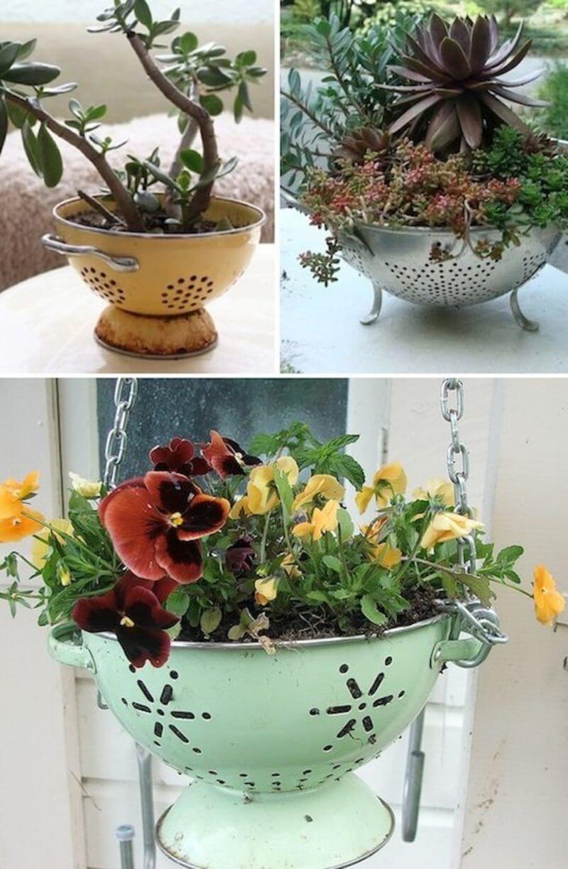 Garden planter container ideas