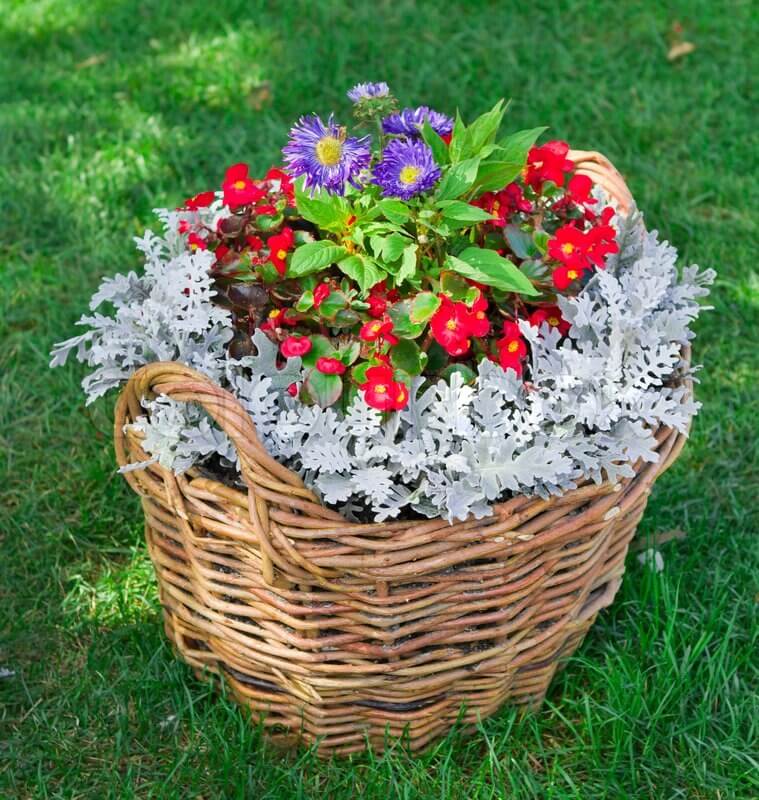 5 Best Spring Planter Ideas Designs Decor