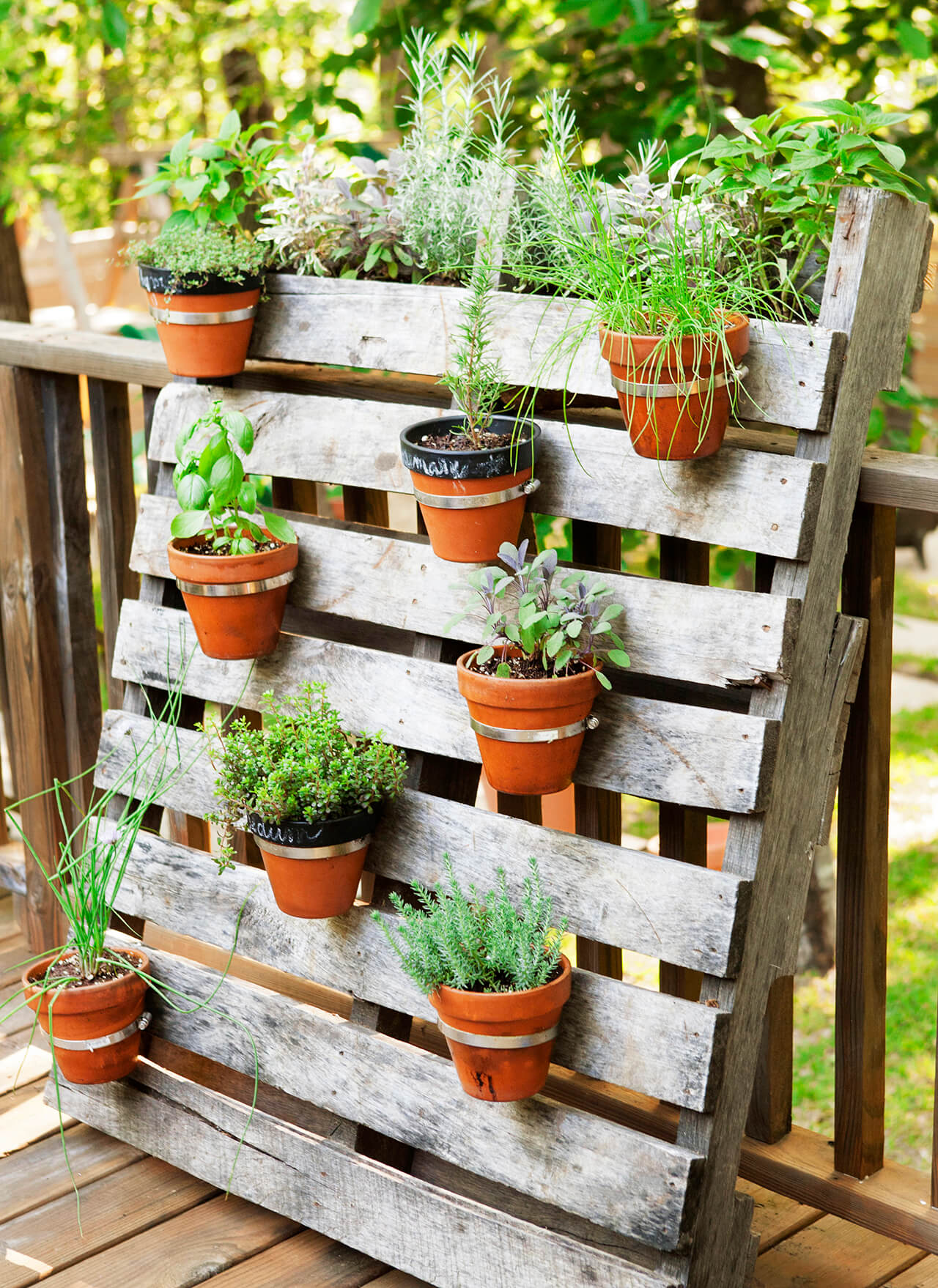 Garden planter container ideas