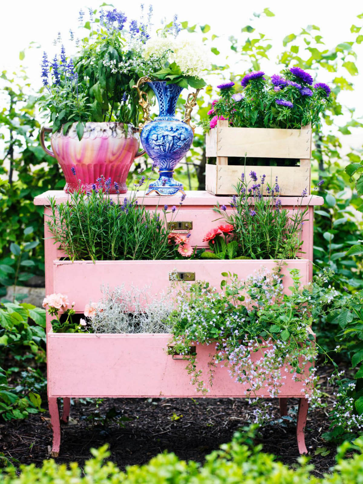 Garden planter container ideas