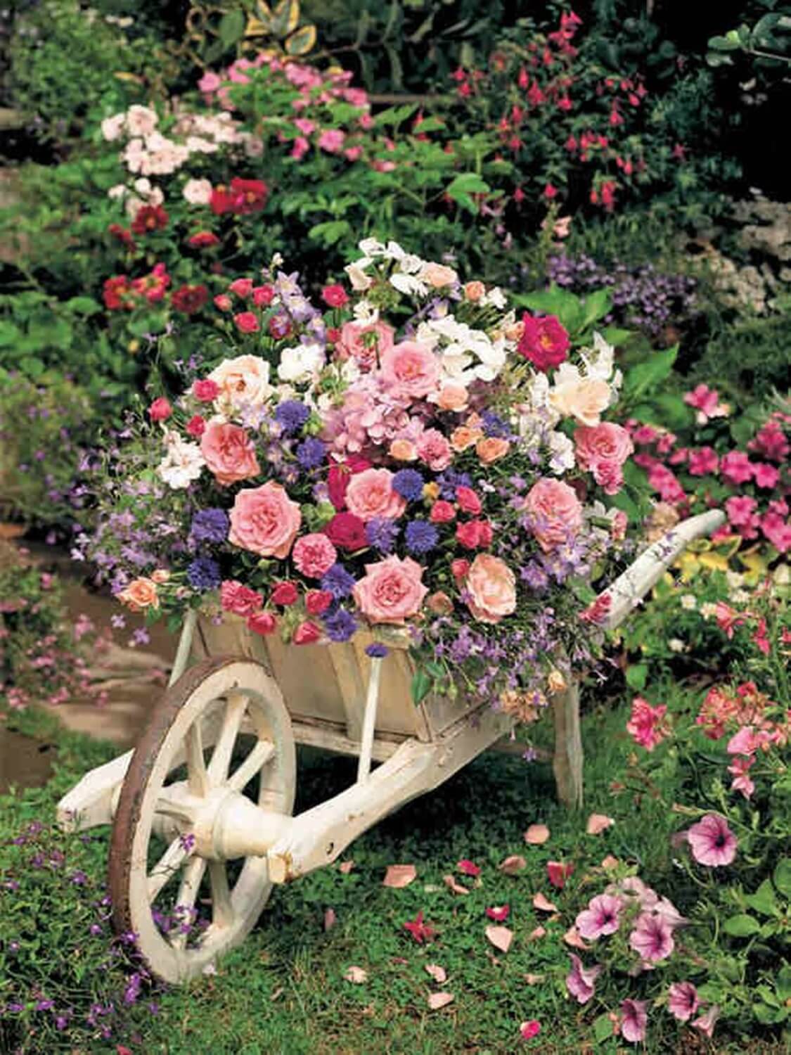 Garden planter container ideas