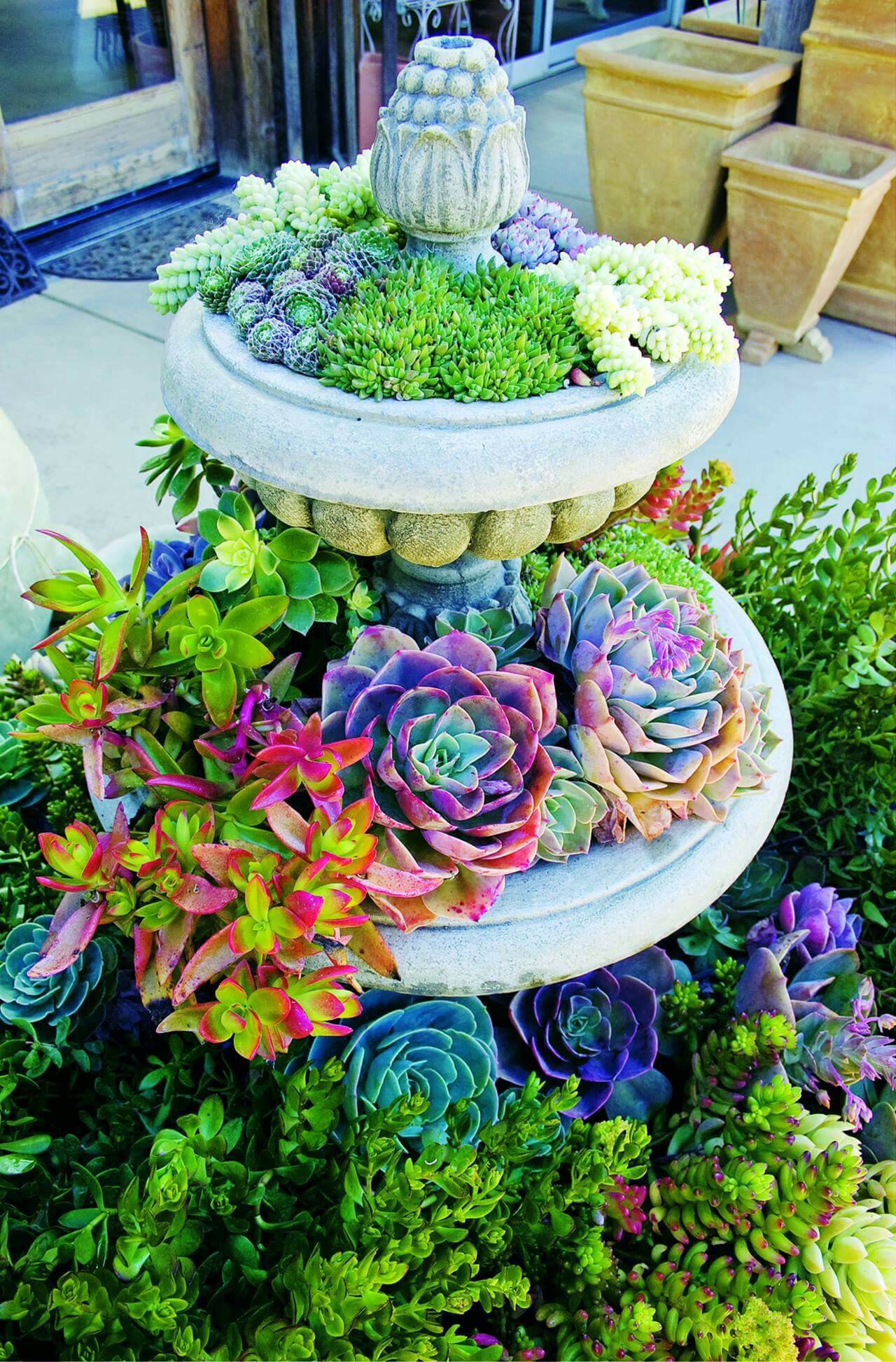 Garden planter container ideas