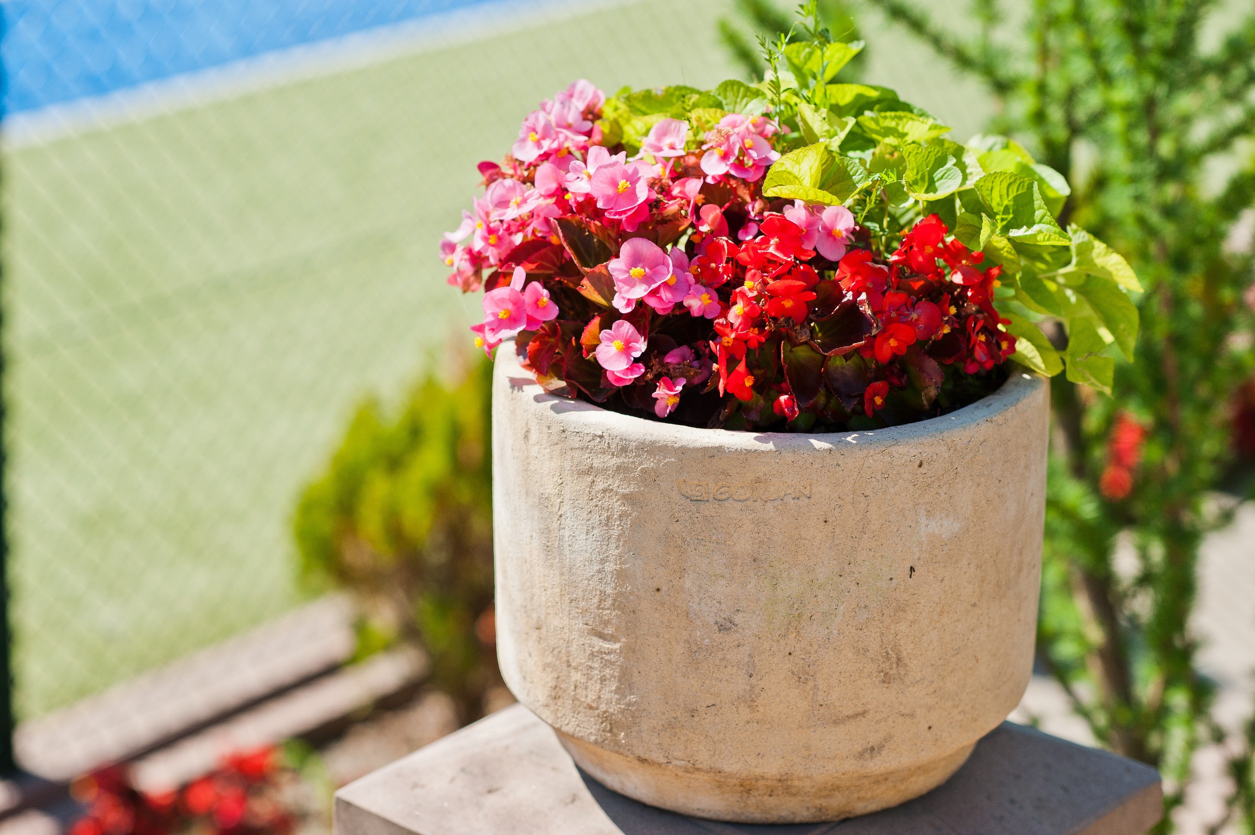 7 Best DIY Flower Pot Ideas