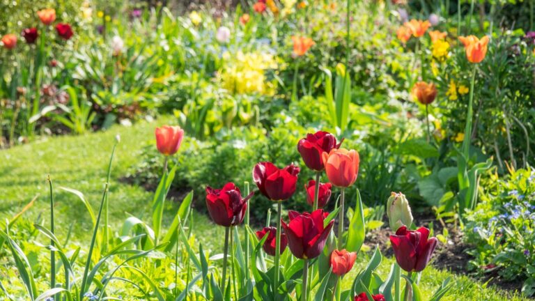 Keep Your Garden Looking Great with These Tips